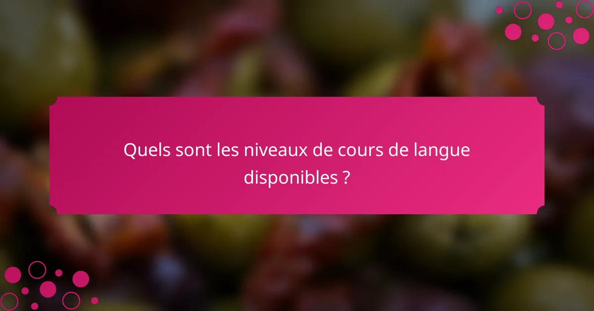Quels sont les niveaux de cours de langue disponibles ?